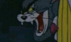 老司机邪恶漫画,笑翻你的日常幽默瞬间