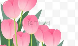 漫画郁金香,一场奇幻的视觉盛宴